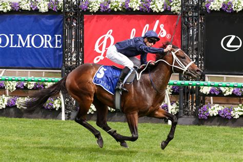 lightning stakes odds|Black Caviar Lightning Stakes 2025 .
